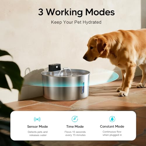 Dog Water Fountain (2.4 Pound)