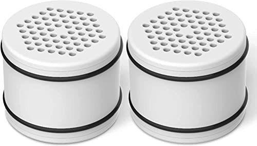 WHR 140 Shower Filter (2 Count)