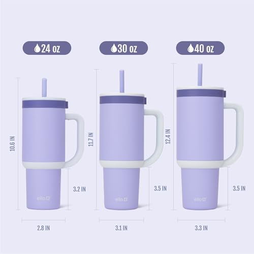 Oasis 30oz Insulated Stainless Steel Tumbler with Straw