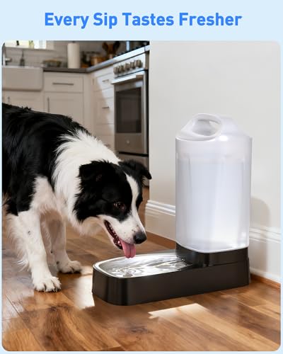 Dog Water Dispenser Filters Replacement