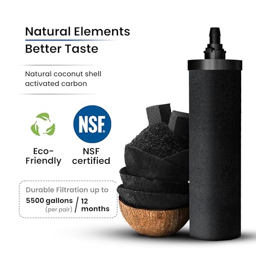 4.25G Water Filter System with 2 Fluoride Filters & Spigot