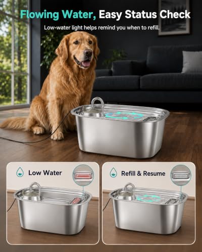 2.06 Gallon Stainless Steel Dog Water Fountain for Large Dogs (399 Ounce)