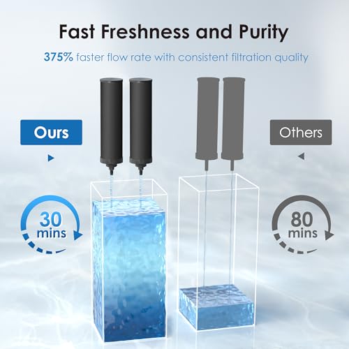 Black Water Filter (2 Count)