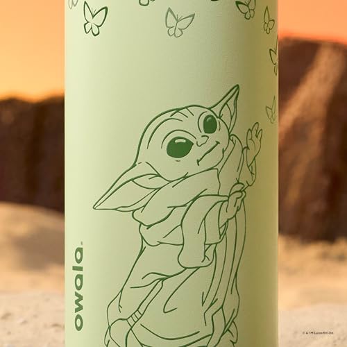 Star Wars FreeSip Stainless Steel Water Bottle 32 oz GroGu