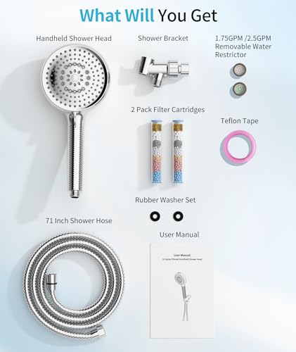Filtered Shower Head with Handheld