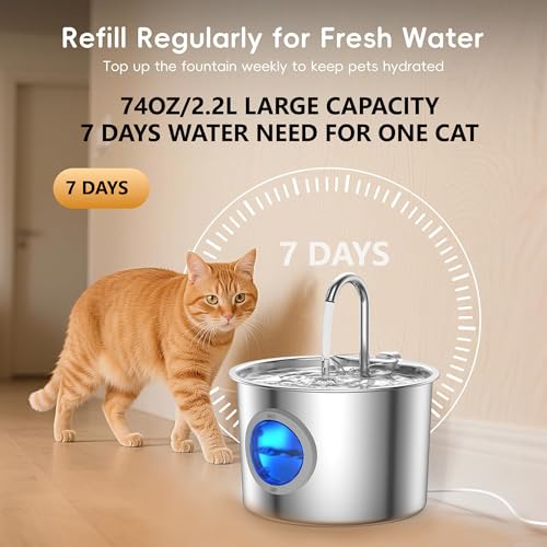 Cat Water Fountain Stainless Steel (74.39 Ounce)