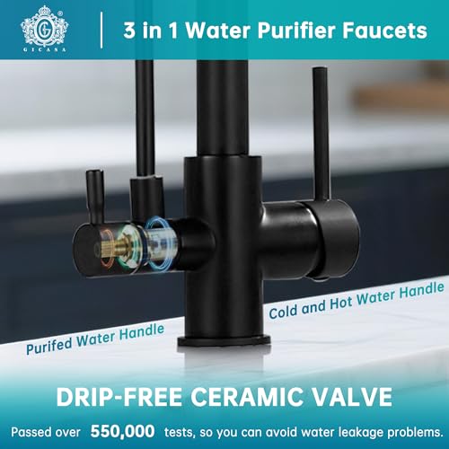 Commercial 3 in 1 Spring Black Kitchen Faucet