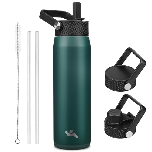 25 oz Insulated Stainless Steel Water Bottle with 3 Lids