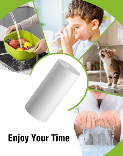10" x 4.5" Whole House Sediment Water Filter (2 Count)