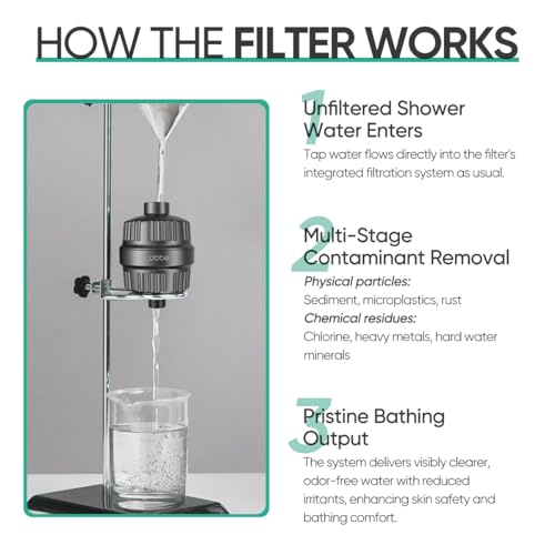 HD HEAVY DUTY High Output Shower Filter 2 Pack (2 Count)