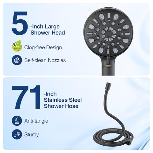 Filtered Shower Head with Handheld