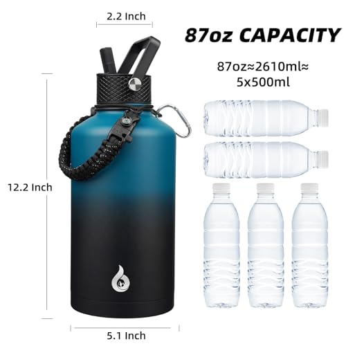 87oz Insulated Water Bottle with Straw Lid Stainless Steel Water Jug
