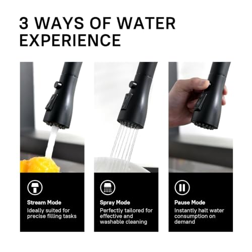 Pull Down Kitchen Faucet