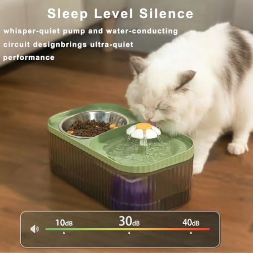 Cat Water Fountain and Stainless Steel Food Bowl (100 Fl Oz)
