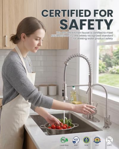 Kitchen Faucet and Water Filter Faucet