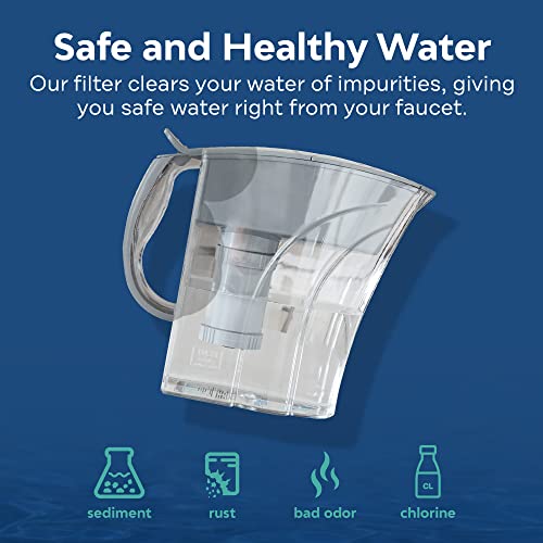 AMI Water Pitcher with Filter for Tap Water