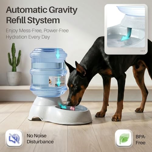 Automatic Pet Feeder & Waterer Set of 2 Pack