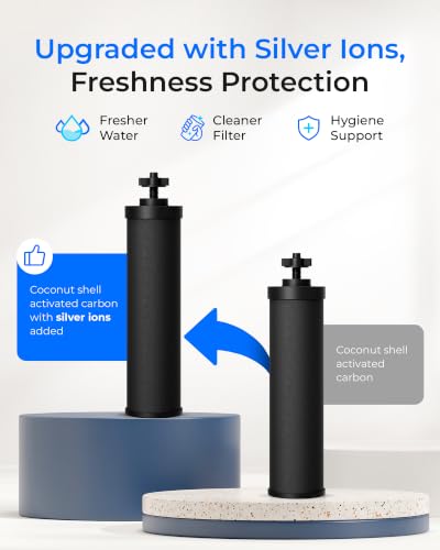 Silver Ions Black Water Filter (2 Count)