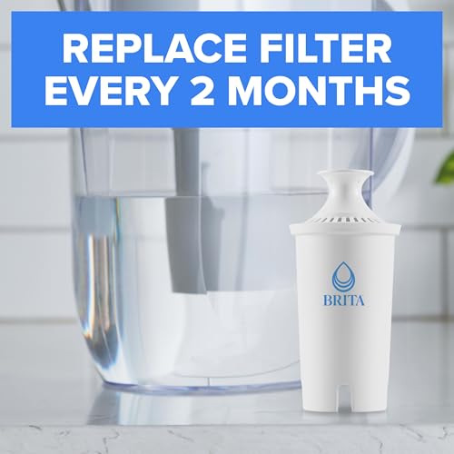 Standard Pitcher and Dispenser Replacement Water Filters (4 Count)