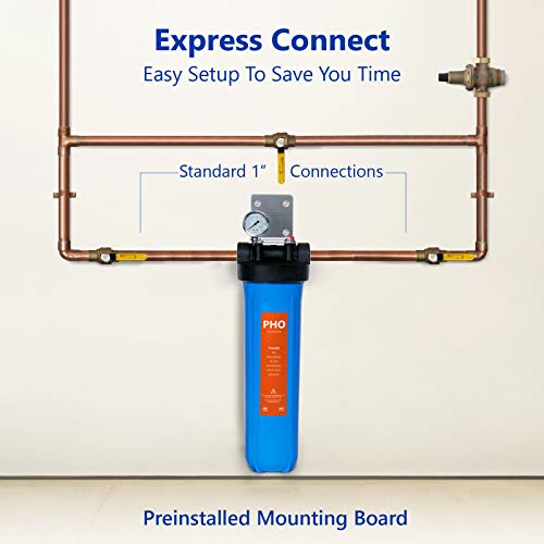 WH100SP Anti Scale Whole House Water Filter System