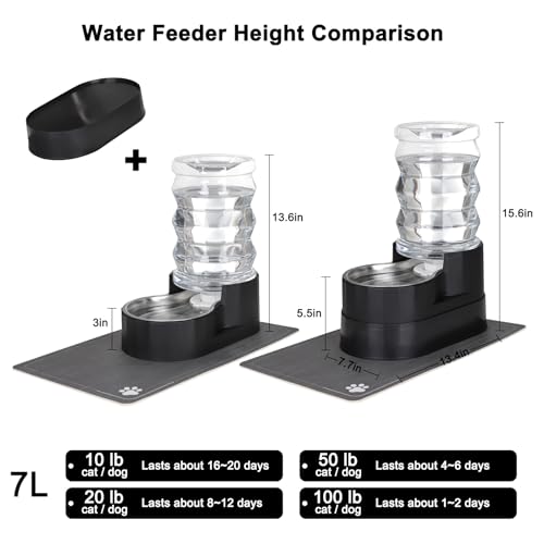 7L Elevated Dog Water Dispenser