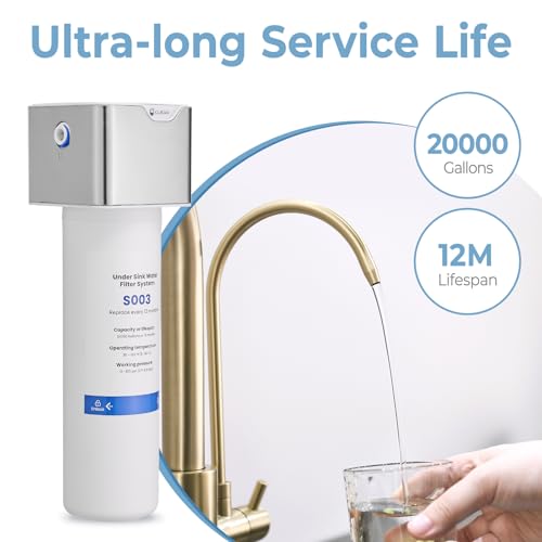 3 in 1 Kitchen Faucet with Water Filter and Pull Down Spraye