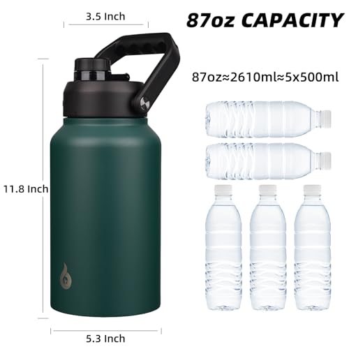 87oz Insulated Water Bottle