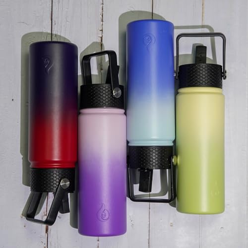 22oz Insulated Water Bottle with Straw Lid