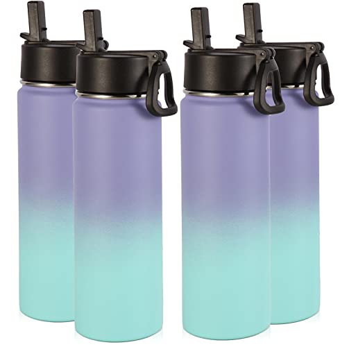 Insulated Water Bottles with Straw Bulk 4 Pack (4 Count)