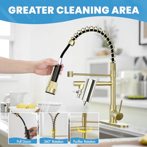 Gold Kitchen Faucet with Water Filter