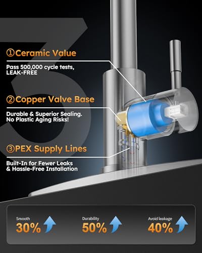 Kitchen Faucet with Sprayer