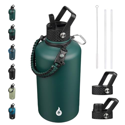 87oz Insulated Water Bottle with Straw Lid Stainless Steel Water Jug
