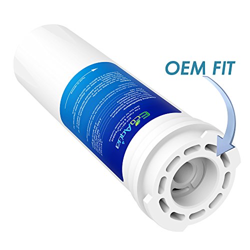 EFF 6017A Replacement for Fisher&Paykel 836848 (2 Count)