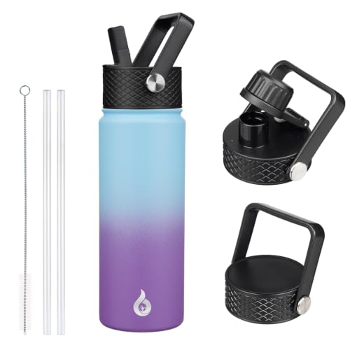 22oz Insulated Water Bottle with Straw Lid