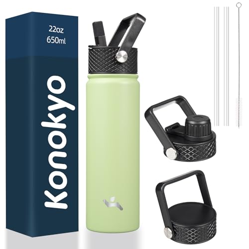 22 oz Insulated Stainless Steel Water Bottle with Straw Lid