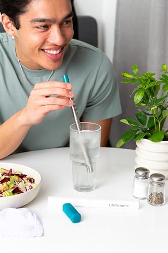 Sip Reusable Stainless Steel Water Filter Drinking Straw with Carry Case