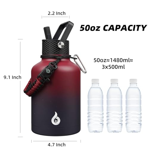 50oz Insulated Water Bottle with Straw Lid Stainless Steel Water Jug