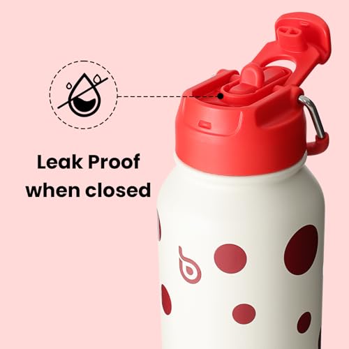 32oz Insulated Water Bottle with Pill Box