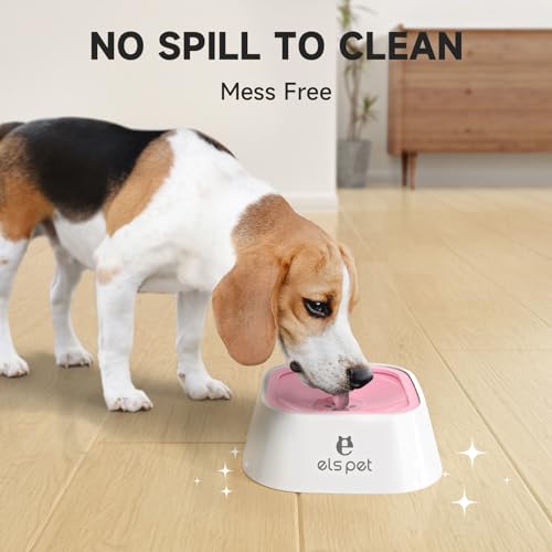 Dog Water Bowl 1L