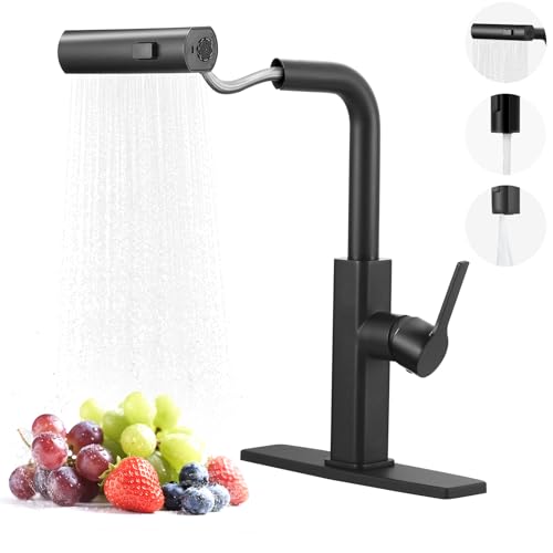 Kitchen Faucet with Pull Down Sprayer