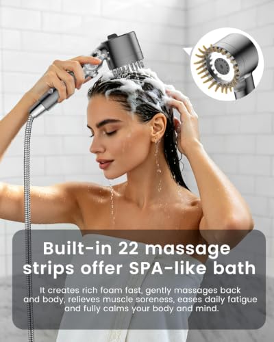 Filtered Shower Head with Handheld