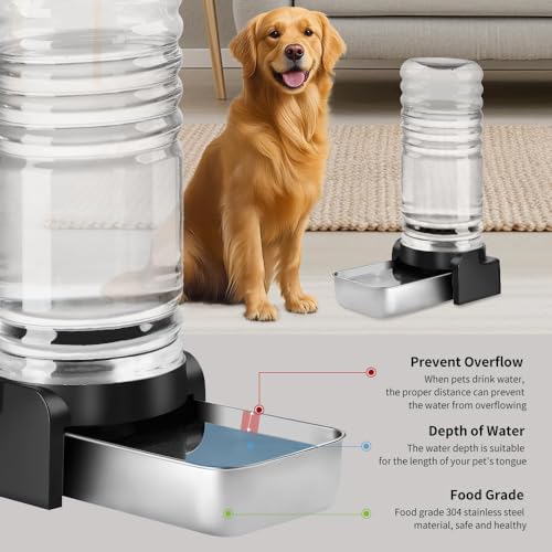 1.5 Gallon Cat Water Dispenser