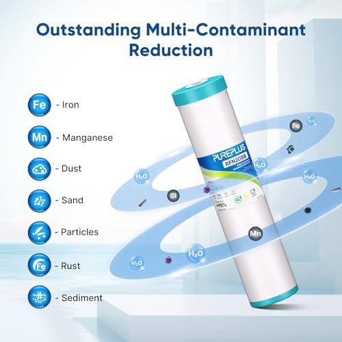 5 Micron 20" x 4.5" RFN20BB Whole House Iron & Manganese Reduce Water Filter Replacement Cartridge
