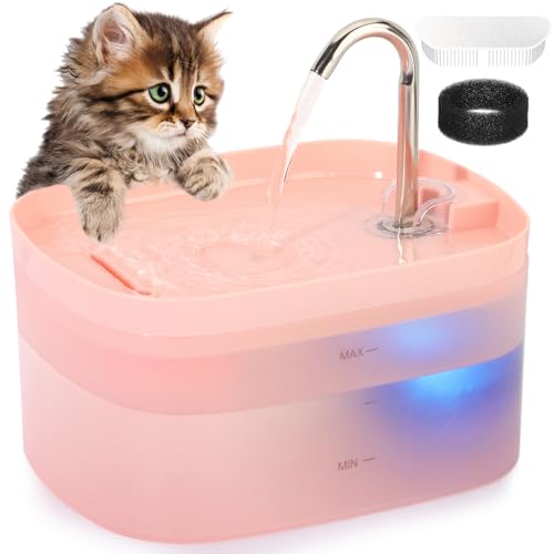 Cat Water Fountain
