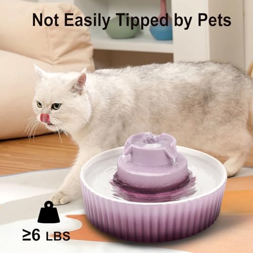 Ceramic Cat Water Fountain