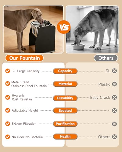12L 3.2Gal Dog Water Fountain Elevated