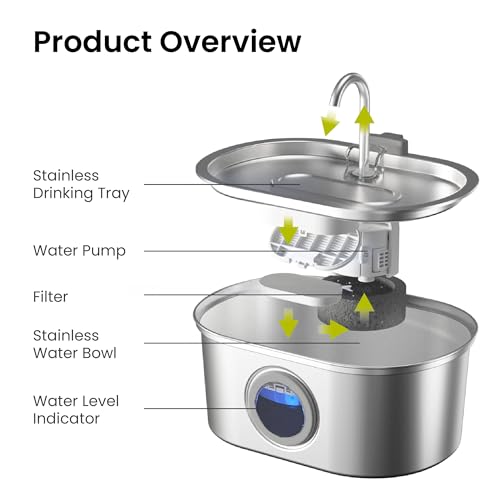SS 01 Stainless Steel Faucet