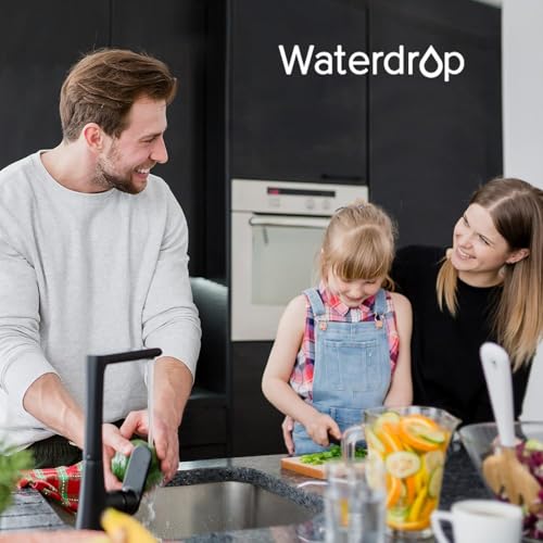 WF10PG Whole House Water Filter for WHF21 (2 Count)