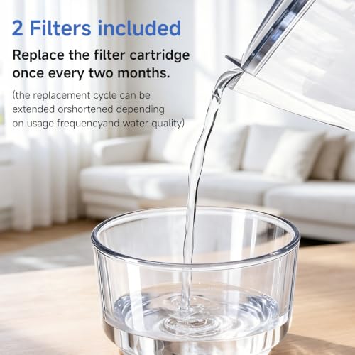 Water Filter Pitcher with 2 Replacement Filters