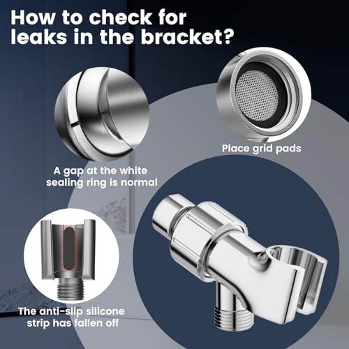 Filtered Shower Head with Handheld
